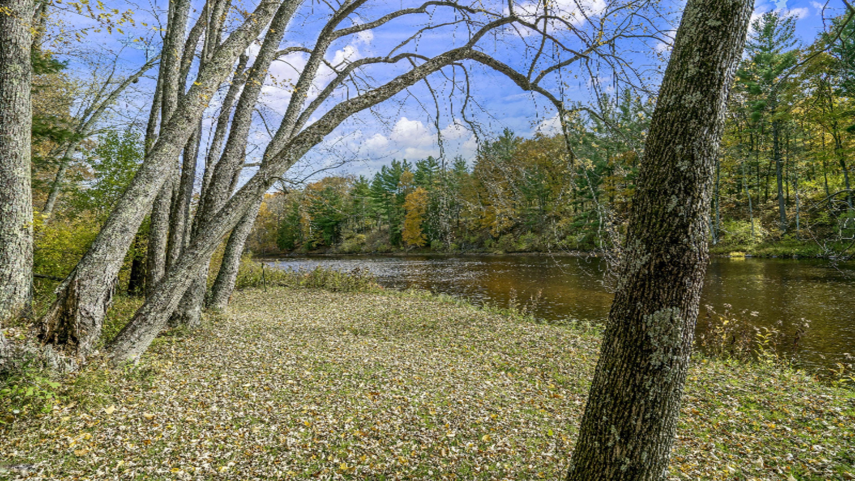 17575 Old Logging Road Hersey, MI 49639 - Photo 34 of 38 DSC00652-r