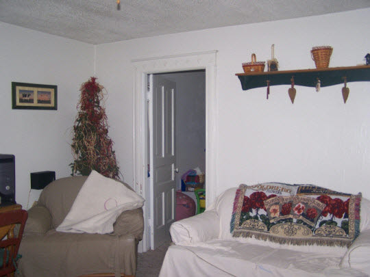 1396 Shabbona Grove Road Shabbona, IL 60550 - Photo 6 of 8 a living room with furniture and a window