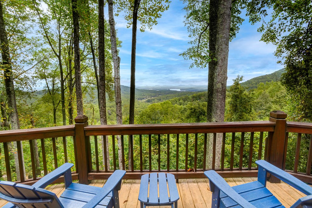 251 Ridge Circle Blue Ridge, GA 30513 - Photo 8 of 41 Gallery Image 8