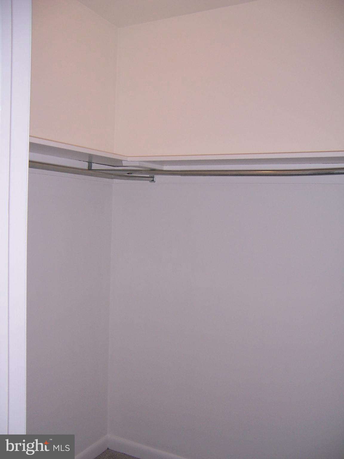 216 Valley Stream Lane Chesterbrook, PA 19087 - Photo 16 of 29 Walk In Bdrm Closet
