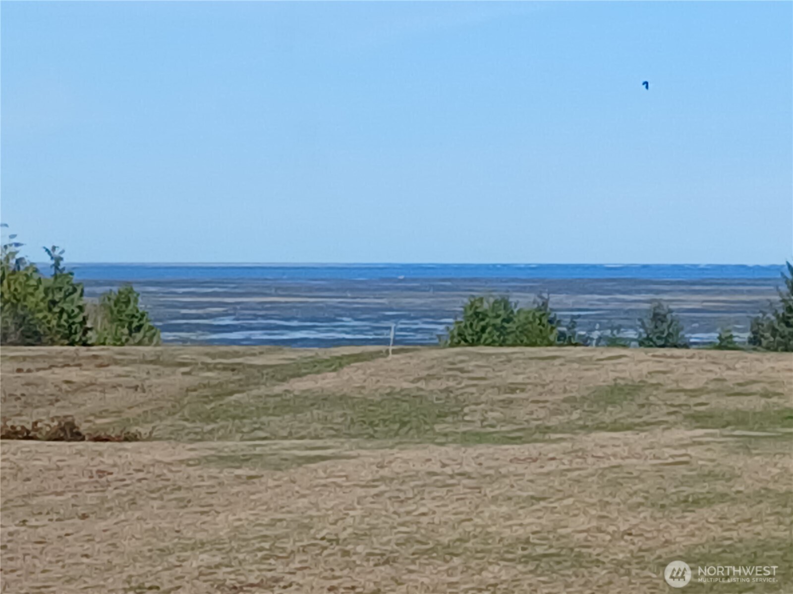 10 Spruce South Bend, WA 98586 - Photo 28 of 29 a view of an ocean beach