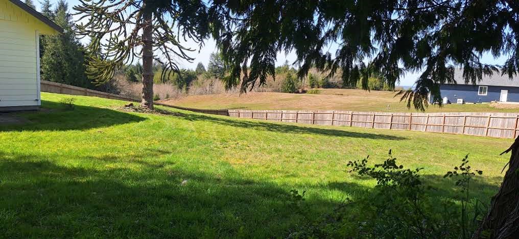 10 Spruce South Bend, WA 98586 - Photo 9 of 29 a view of swimming pool with a garden