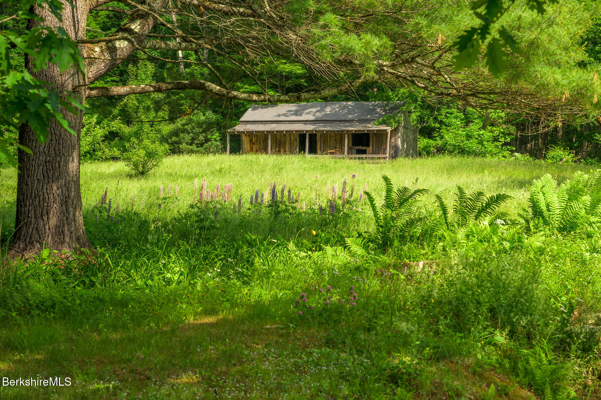 161 Beartown Mountain Road Monterey, MA 01245 - Photo 55 of 60 Screen - 161 Beartown Mountain Rd Great