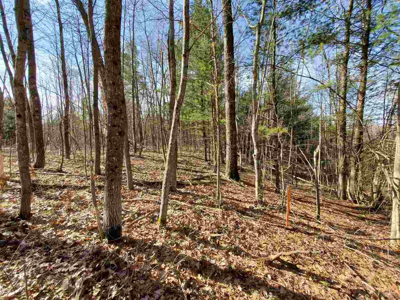 4 Forman Baldwin, MI 49304 - Photo 1 of 1