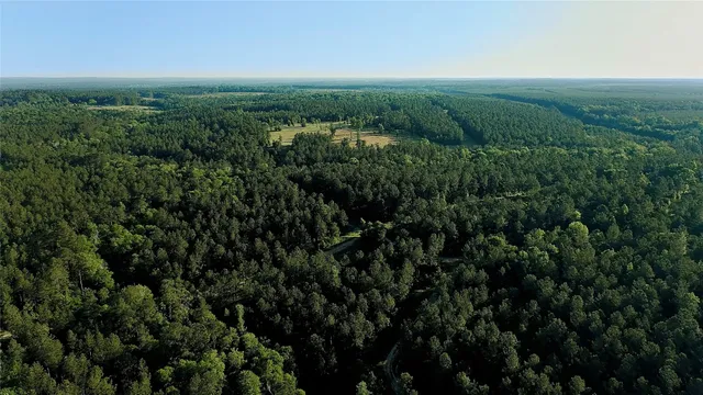 $7,500,000 | 299 Hornet Nest, Livingston, TX 77351