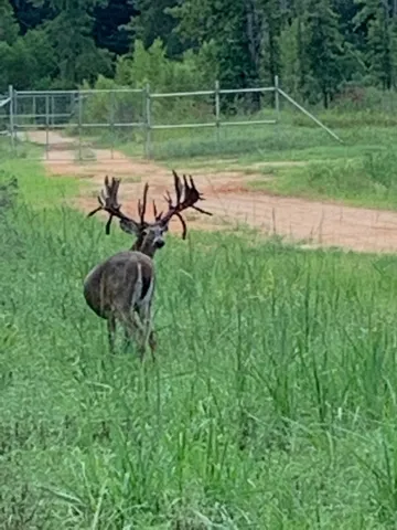 $7,500,000 | 299 Hornet Nest, Livingston, TX 77351