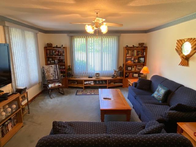 43 Goodrich Road Bingham, ME 04920 - Photo 13 of 22 IMG_3407