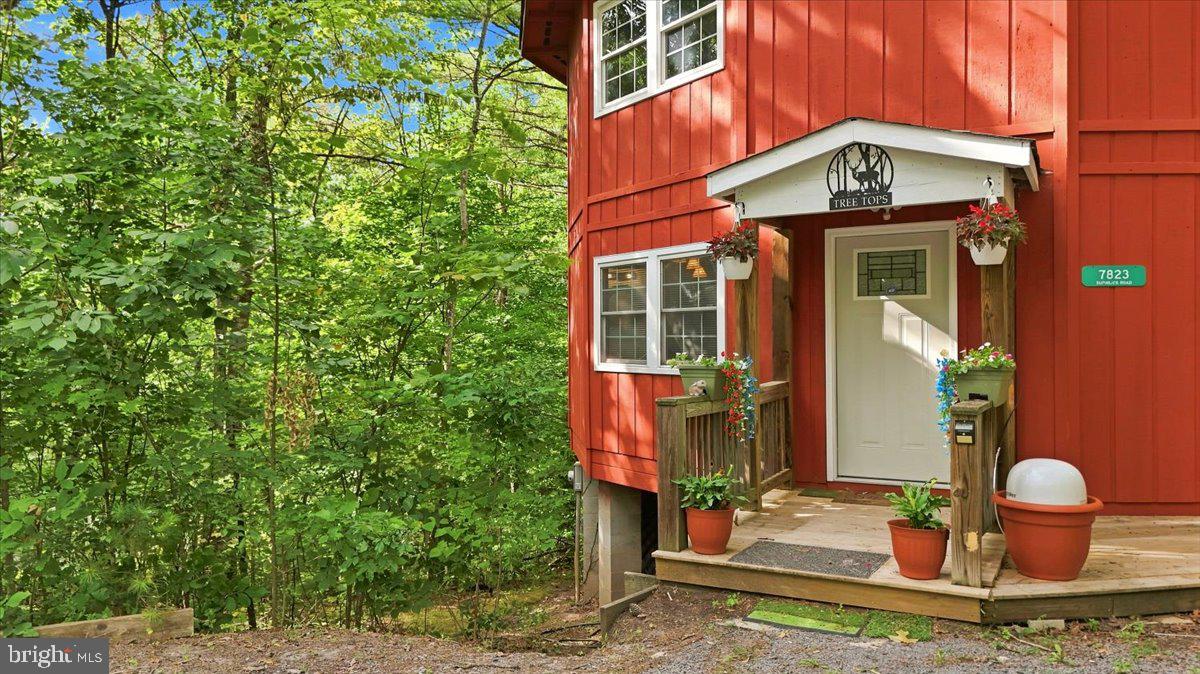 7823 Supinlick Ridge Road Mount Jackson, VA 22842 - Photo 51 of 58 Charming red retreat in nature's embrace.