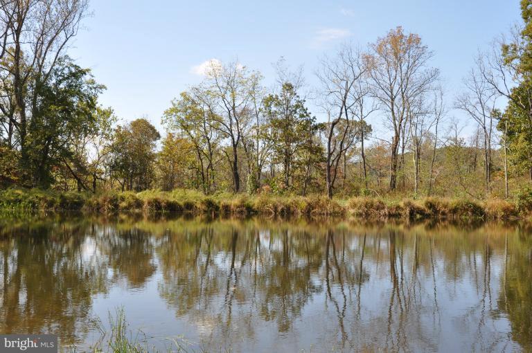 387 Battle Run Road Washington, VA 22747 - Photo 8 of 16 Pond View