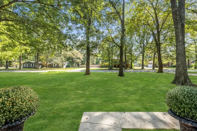 a park with lots of green space and trees