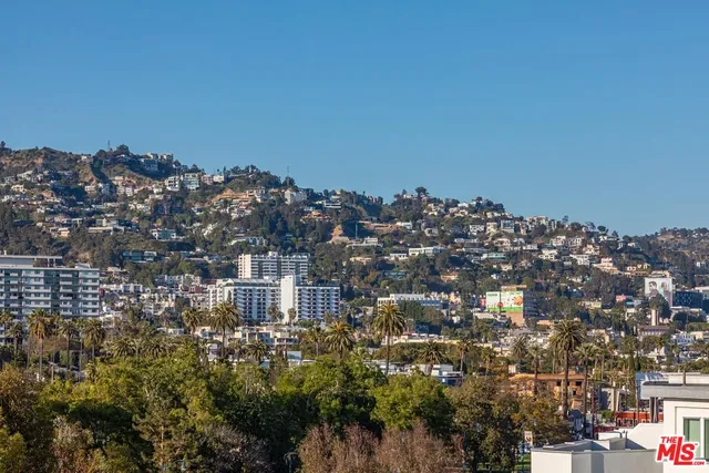 a view of a bunch of trees
