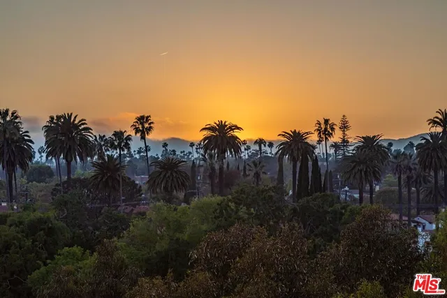 a living room with furniture potted plant and a fireplace