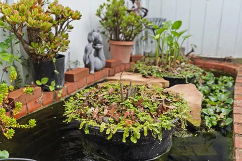 $515,000 | 2837 Bowen Street, Graton, CA 95444