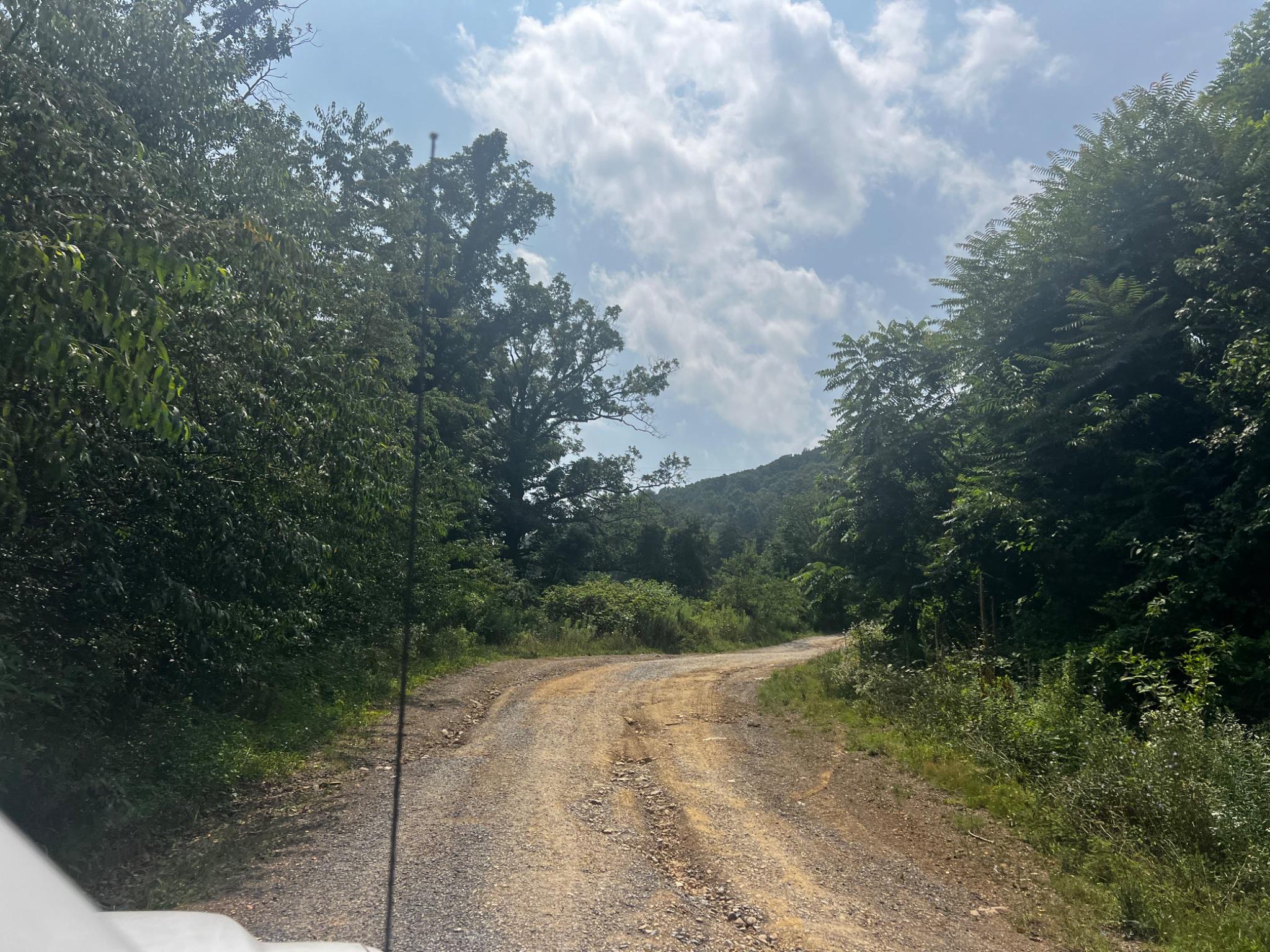 2971 Co Rte 259/3 Mathias, WV 26812 - Photo 36 of 41 Road to layer houses