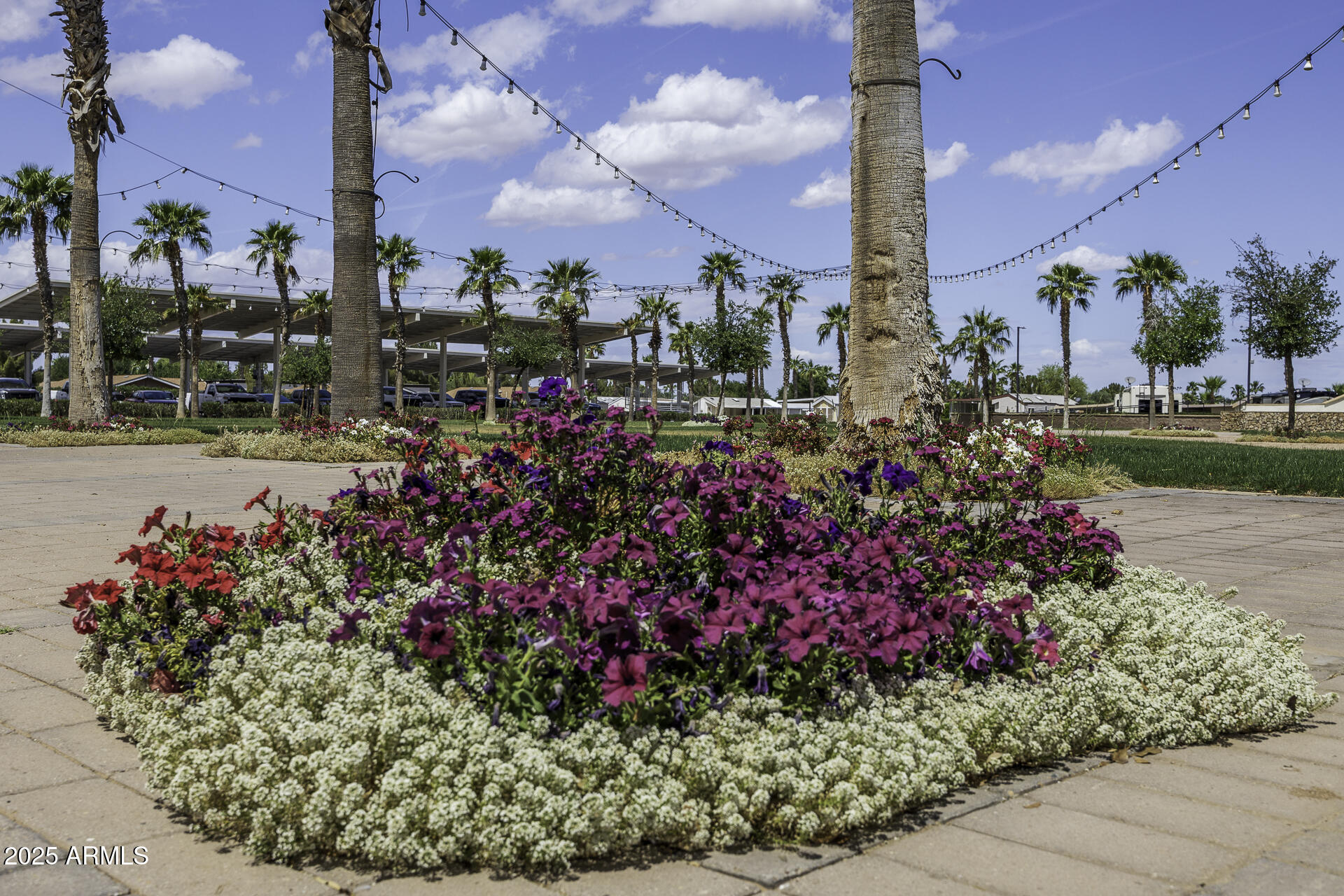 1110 North Henness Road, Unit 1351 Casa Grande, AZ 85122 - Photo 53 of 62 Palm Creek Community 3