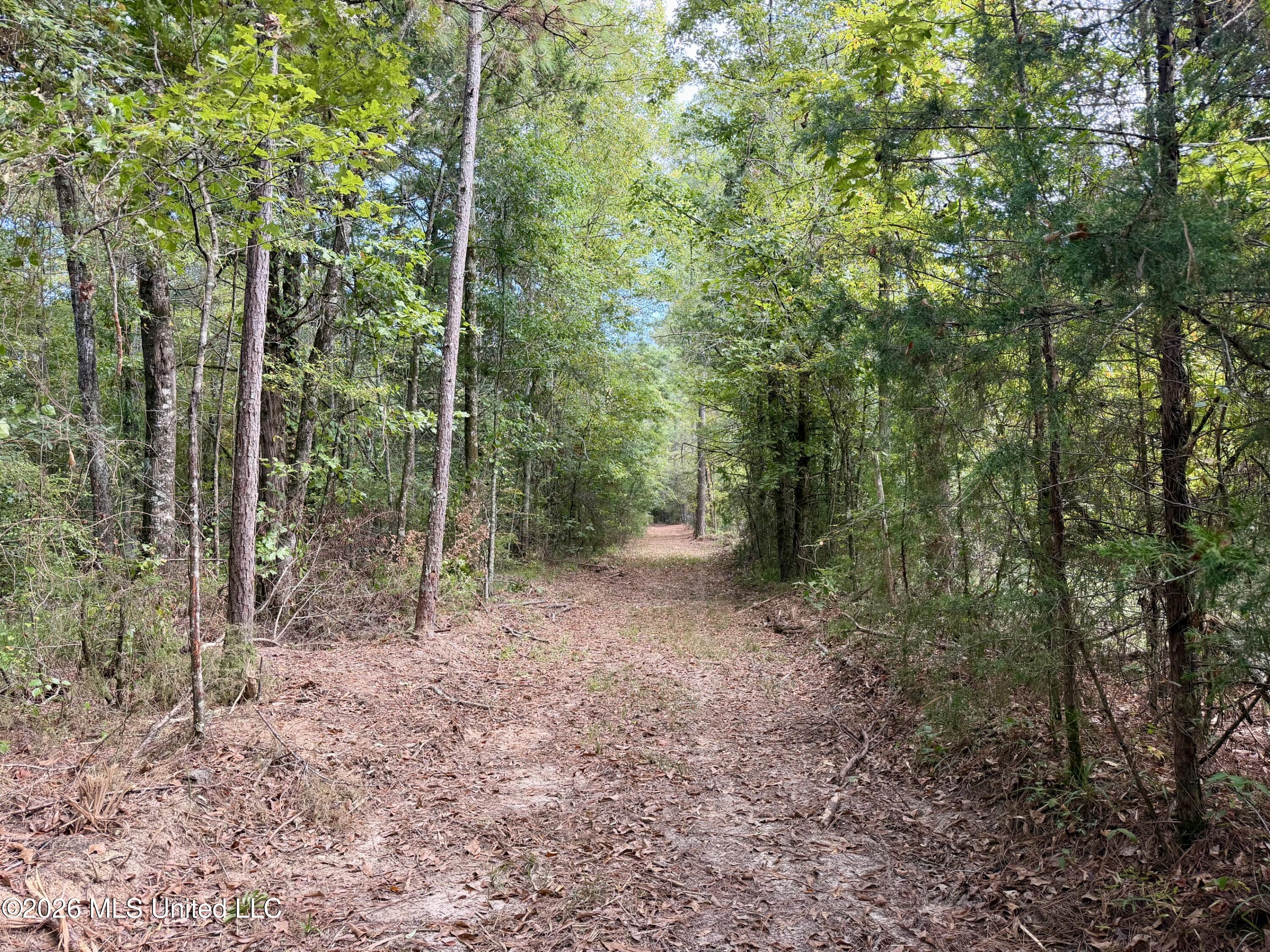 11330 Ms-429 Carthage, MS 39051 - Photo 104 of 128 IMG_1405