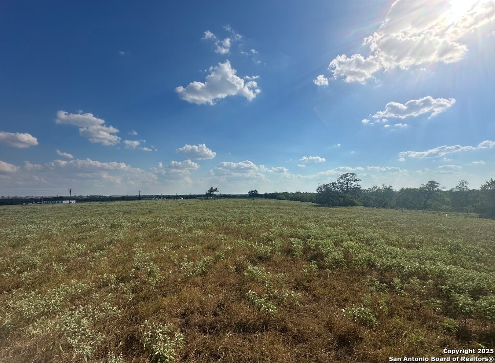 211 Hidden Ranch Court Floresville, TX 78114 - Photo 5 of 8