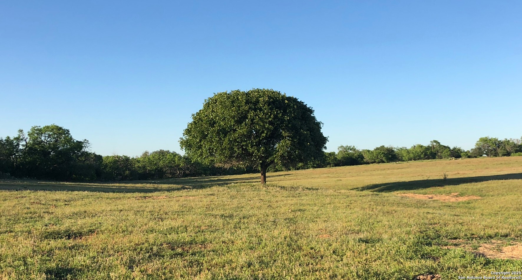 211 Hidden Ranch Court Floresville, TX 78114 - Photo 8 of 8