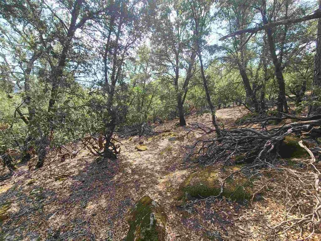 $14,500 | 17320 Mt Everest Court, Sonora, CA 95370