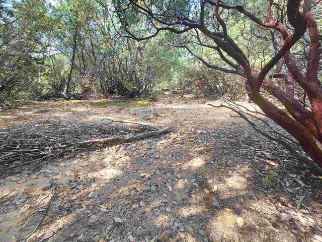 $14,500 | 17320 Mt Everest Court, Sonora, CA 95370