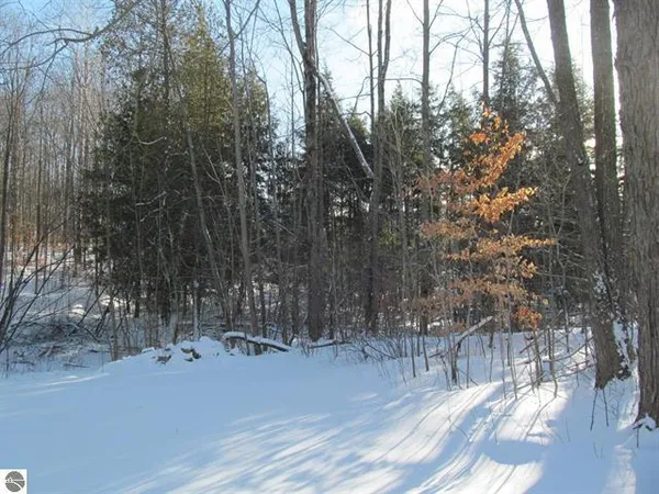 $135,000 | 17166 North 50th Avenue, Marion, MI 49665