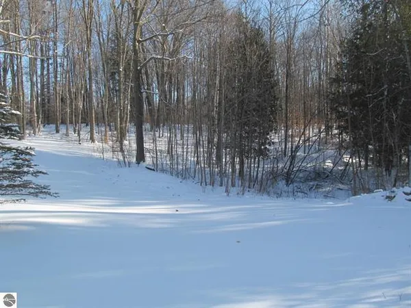 $135,000 | 17166 North 50th Avenue, Marion, MI 49665