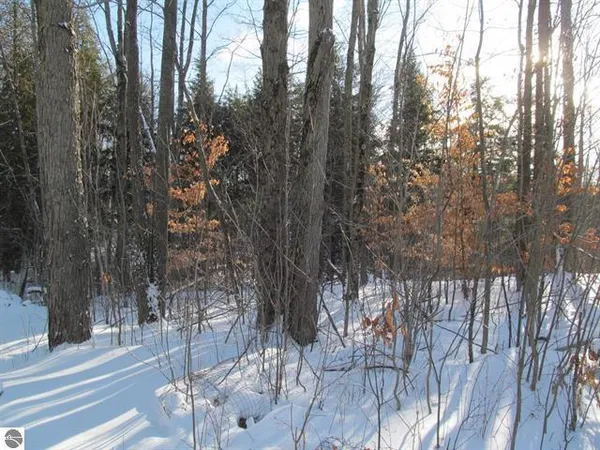 $135,000 | 17166 North 50th Avenue, Marion, MI 49665