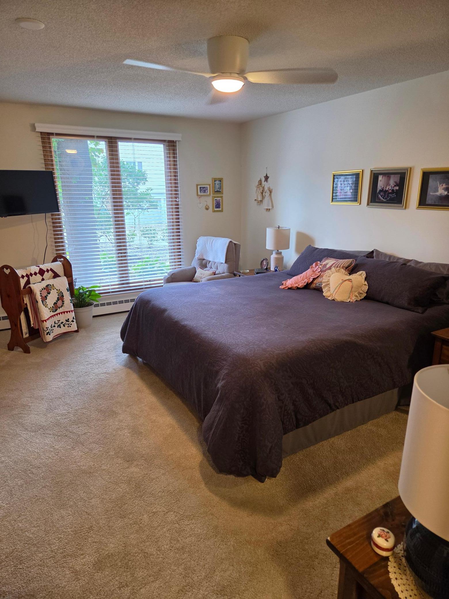 317 6th Avenue Southwest, Unit 209 Rochester, MN 55902 - Photo 11 of 24 Gallery Image 11