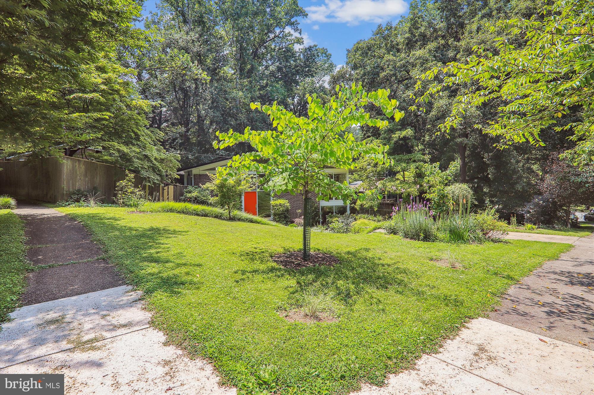 3945 Rickover Road Silver Spring, MD 20902 - Photo 30 of 43 Corner lot w/Japanese Maple, fig tree and more