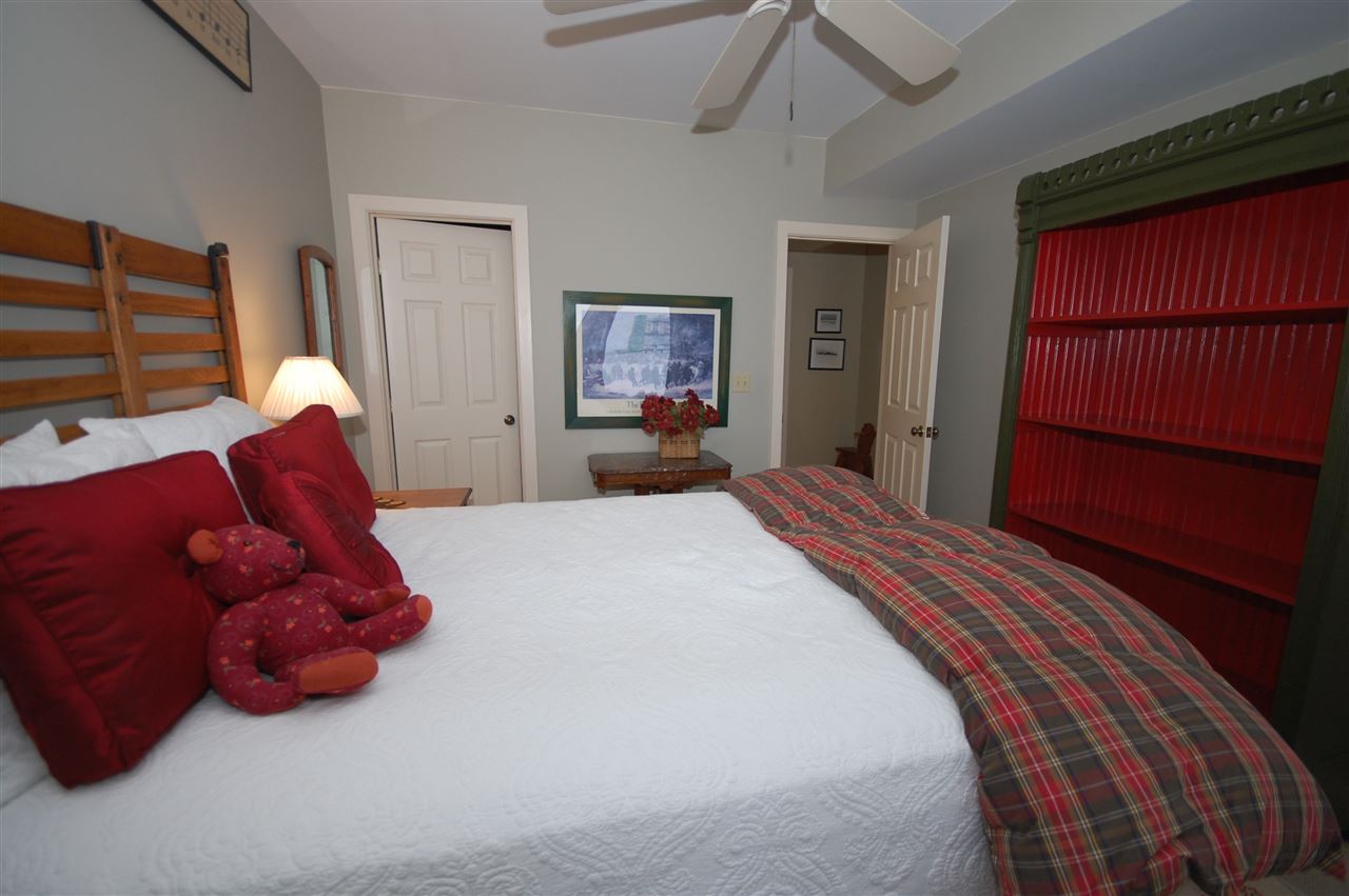 7259 West Day Forest Road Empire, MI 49630 - Photo 35 of 46 1841300-36.JPG