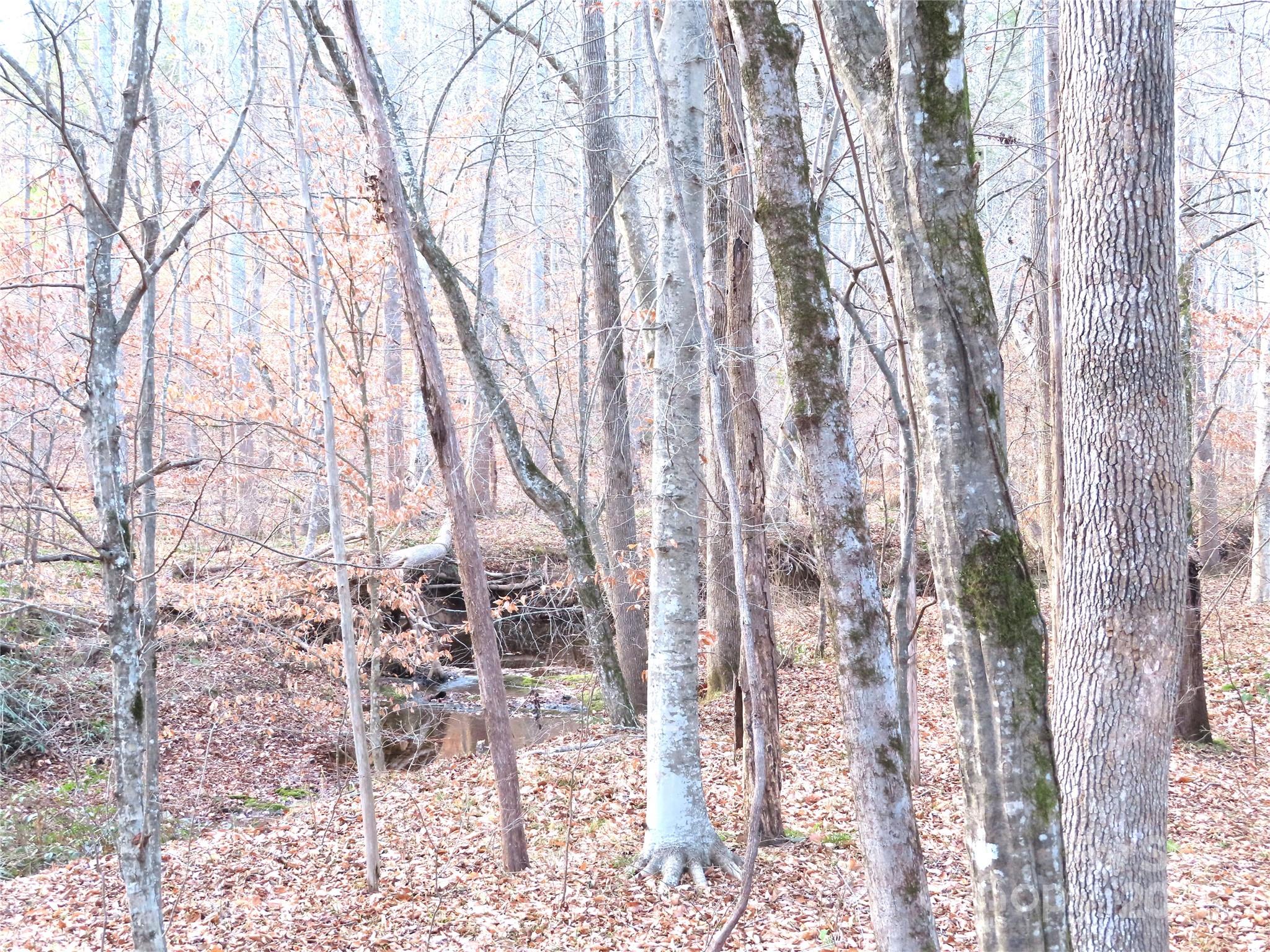 483 C E Stewart Road Clover, SC 29710 - Photo 30 of 30