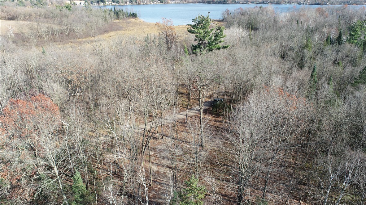 0 Willy Road Weyerhaeuser, WI 54895 - Photo 10 of 12