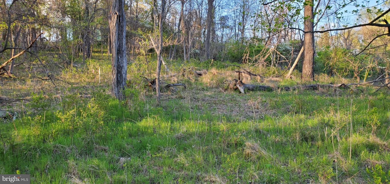 745 Khyber Pass Road Linden, VA 22642 - Photo 37 of 38 Gallery Image 37