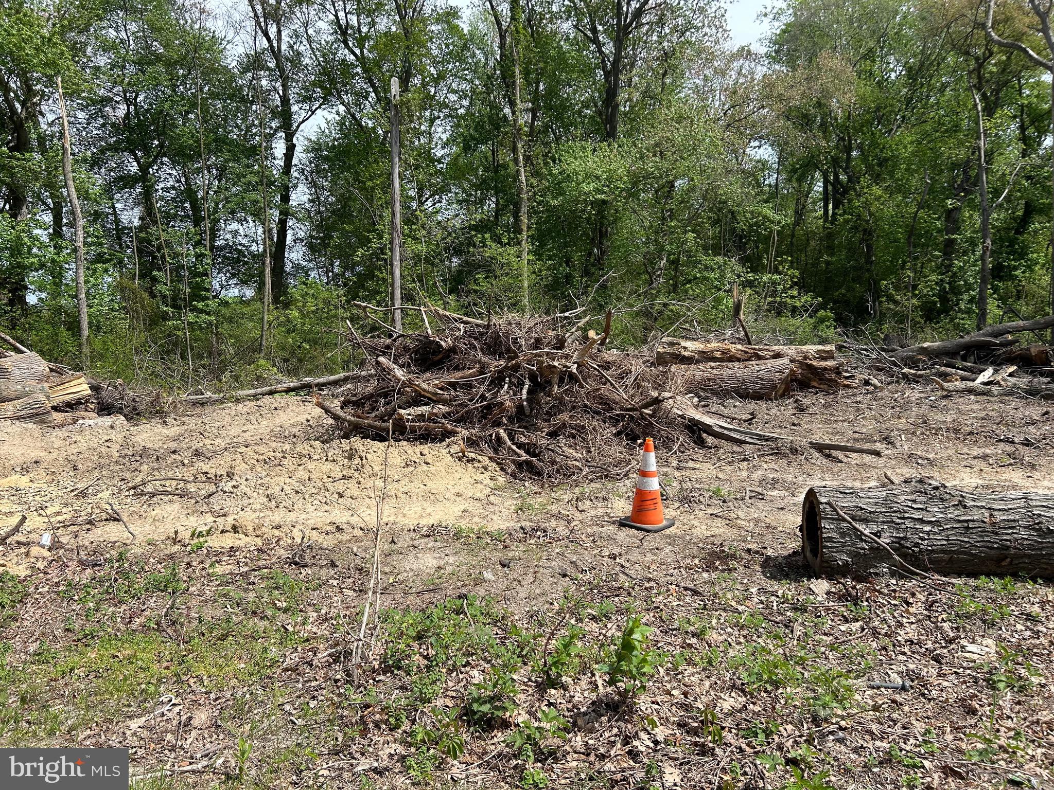 0 Cedar Beach Road Milford, DE 19963 - Photo 3 of 4 a view of a backyard with plants and a bench