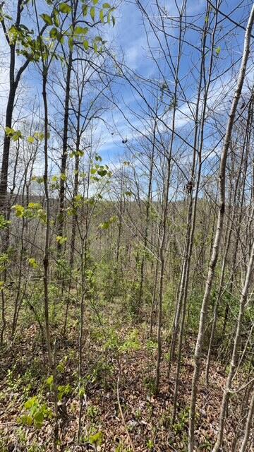 Indian Creek Road Burnside, KY 42519 - Photo 2 of 6 IMG_5311