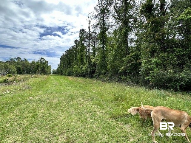 0 Wilmer Road Wilmer, AL 36587 - Photo 22 of 28