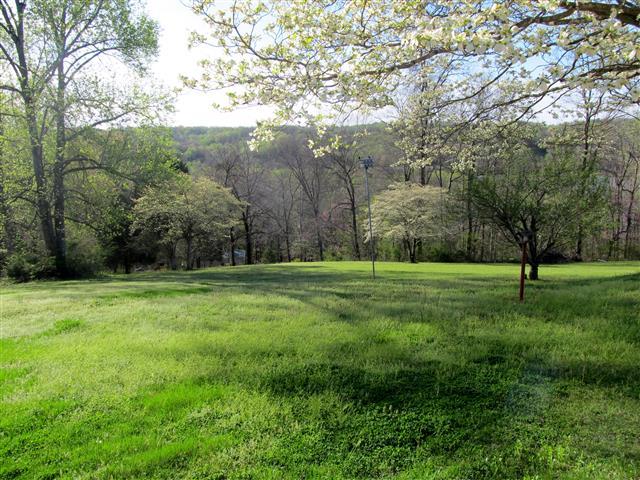 266 Bumpus Mills Road Dover, TN 37058 - Photo 3 of 20 Beautiful dogwoods at rear of home.