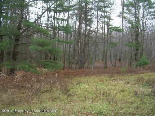 Canada Road Friendsville, PA 18818 - Photo 1 of 4 Land