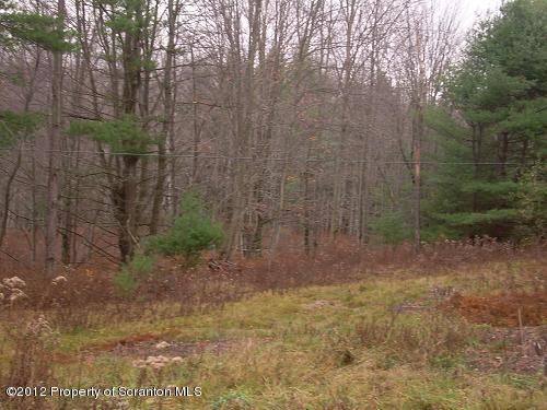 Canada Road Friendsville, PA 18818 - Photo 2 of 4 Land