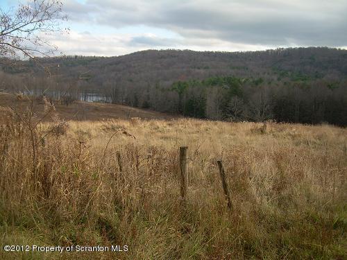 Canada Road Friendsville, PA 18818 - Photo 3 of 4 Land