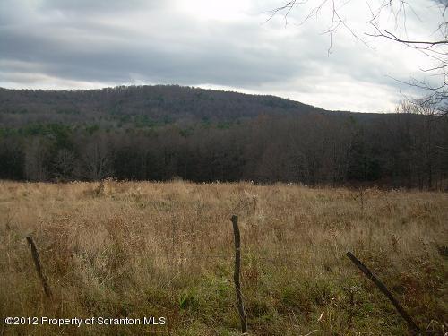 Canada Road Friendsville, PA 18818 - Photo 4 of 4 Land