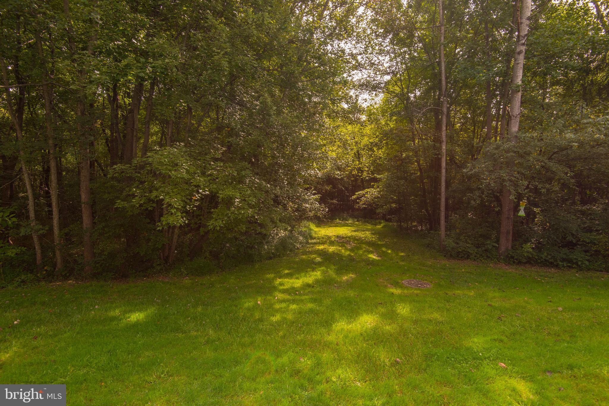 1265 Weatherstone Court Reston, VA 20194 - Photo 31 of 40