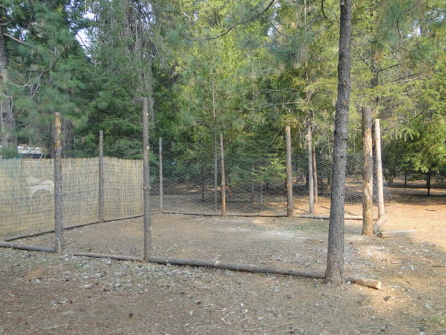 4395 Dick George Road Cave Junction, OR 97523 - Photo 27 of 40 Old chicken coop