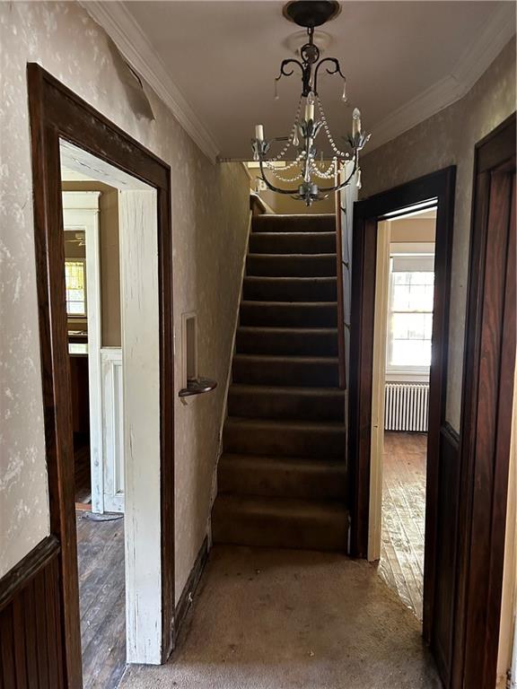 8239 Lincoln Road Verona, PA 15147 - Photo 18 of 35 Gallery Image 18