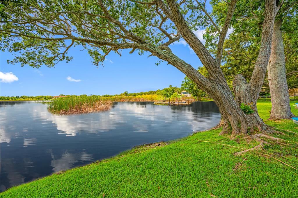 2153 Karan Way Clearwater, FL 33763 - Photo 7 of 65 a view of lake with green space