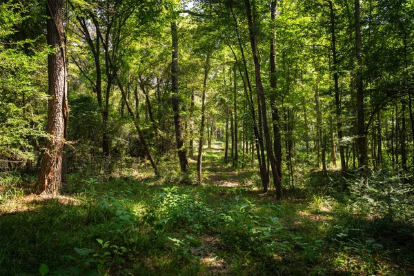 $1,479,500 | 5624 Farm To Market Road 323, Palestine, TX 75801