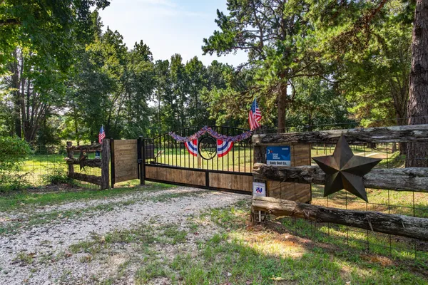 a view of a park with large trees