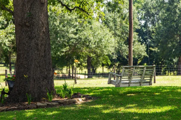 a view of park with a bench