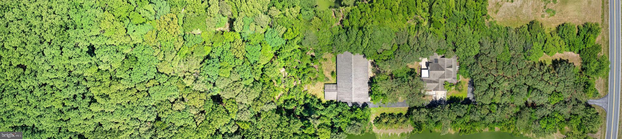 20064 Shingle Point Road Georgetown, DE 19947 - Photo 73 of 77 Aerial Overview of 4.66 acres house &pole building