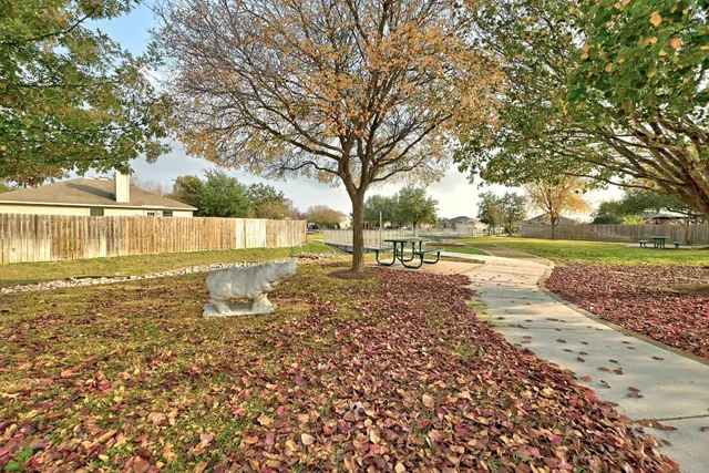 a view of yard with green space